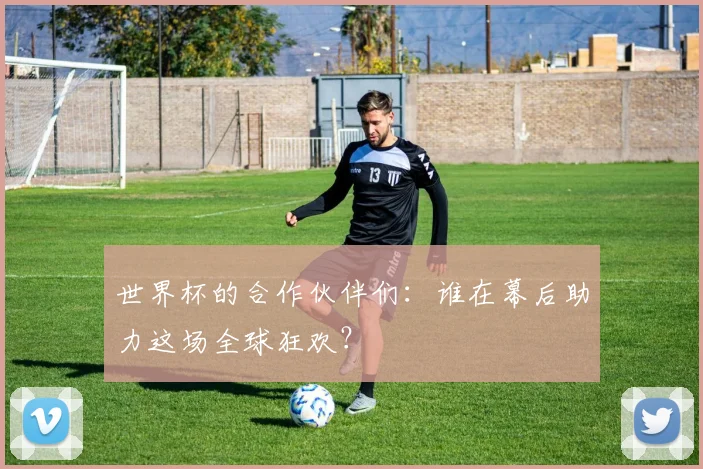 世界杯的合作伙伴们:谁在幕后助力这场全球狂欢?