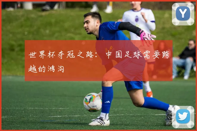 世界杯夺冠之路:中国足球需要跨越的鸿沟