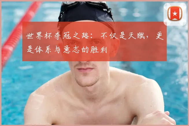 世界杯夺冠之路：不仅是天赋，更是体系与意志的胜利