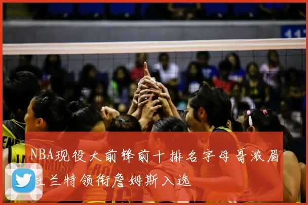 NBA现役大前锋前十排名字母哥浓眉杜兰特领衔詹姆斯入选