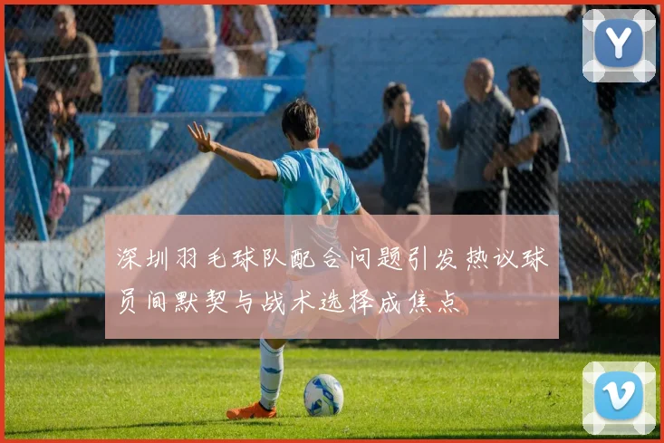 深圳羽毛球队配合问题引发热议球员间默契与战术选择成焦点