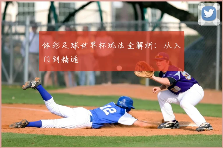 体彩足球世界杯玩法全解析：从入门到精通