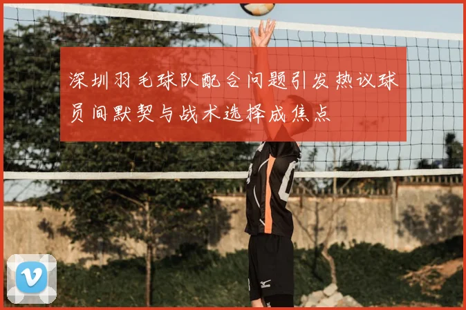 深圳羽毛球队配合问题引发热议球员间默契与战术选择成焦点