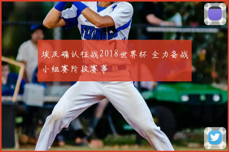 埃及确认征战2018世界杯 全力备战小组赛阶段赛事