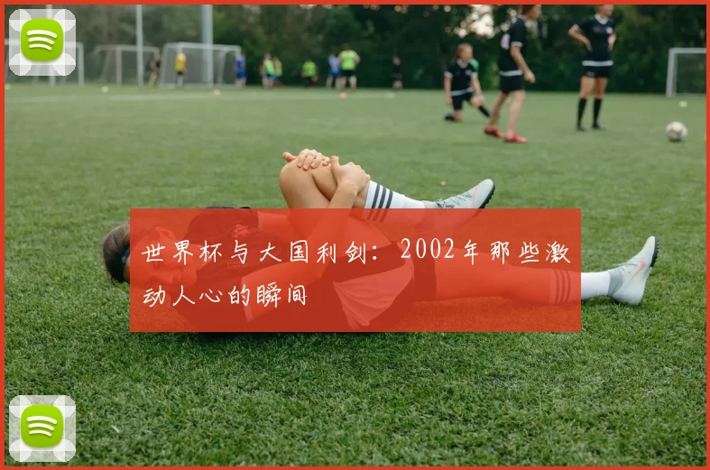 世界杯与大国利剑:2002年那些激动人心的瞬间
