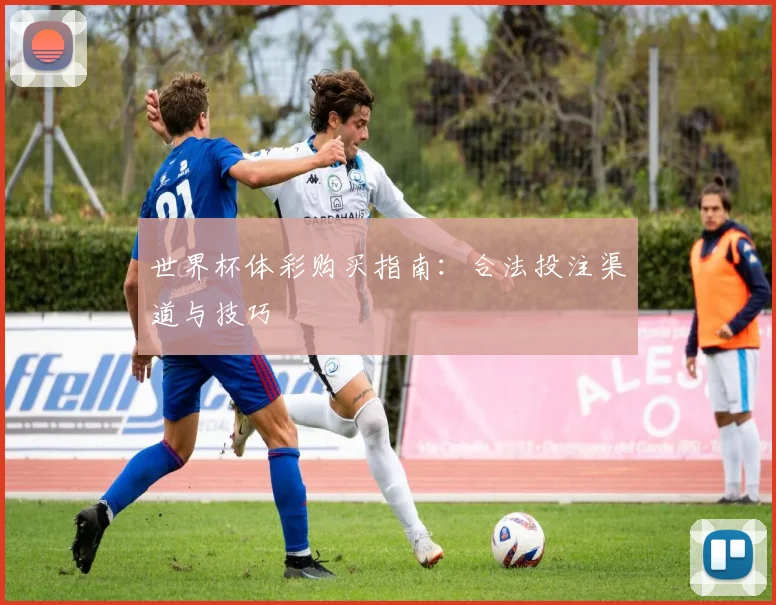 世界杯体彩购买指南:合法投注渠道与技巧