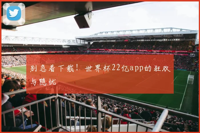 别急着下载！世界杯22亿app的狂欢与隐忧
