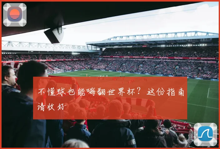 不懂球也能嗨翻世界杯？这份指南请收好